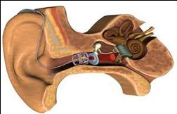 Advance Otolaryngology (ENT) Center | GNRC Hospitals
